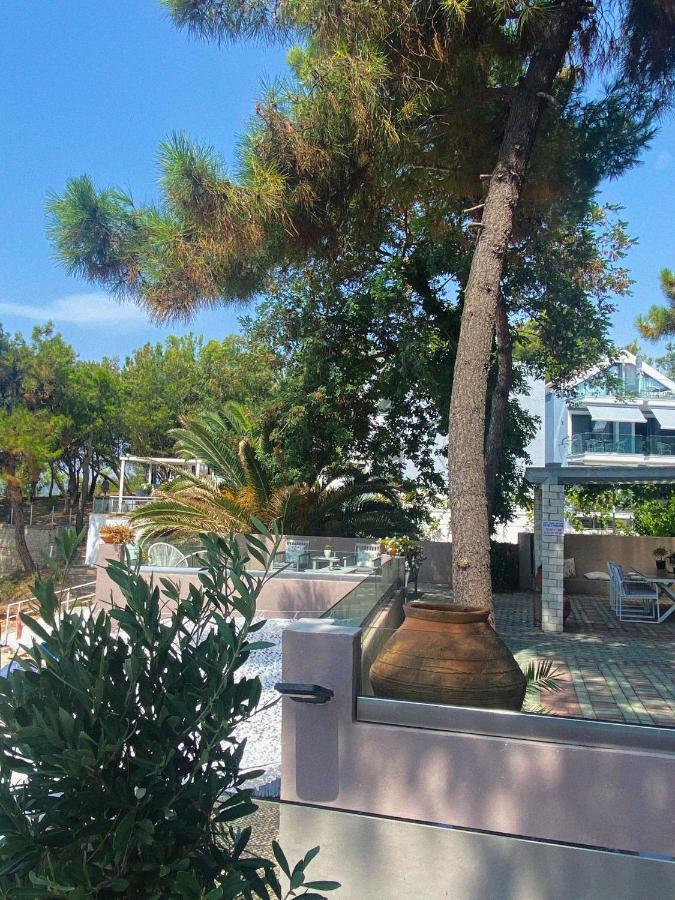 Ktima Papaoikonomou 2 Apartment โปตอส ภายนอก รูปภาพ