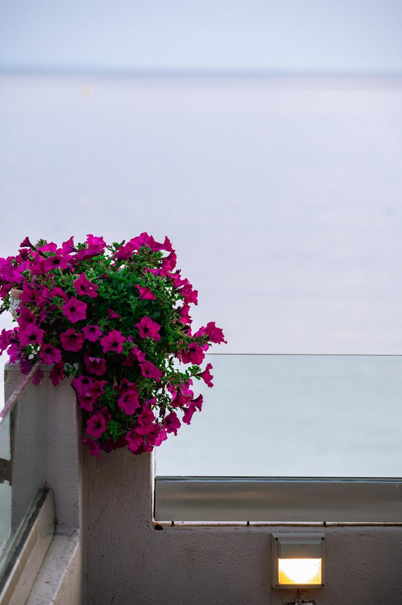Ktima Papaoikonomou 2 Apartment โปตอส ภายนอก รูปภาพ