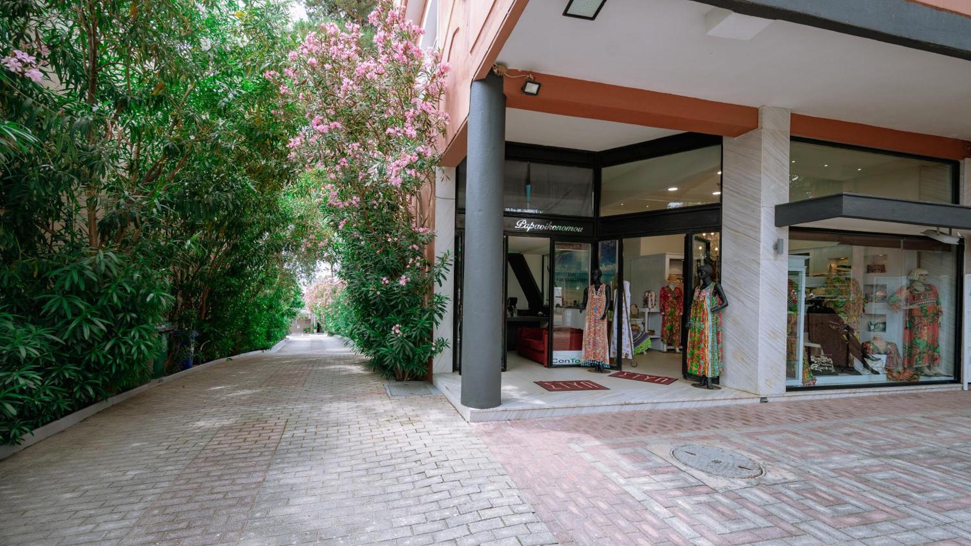 Ktima Papaoikonomou 2 Apartment โปตอส ภายนอก รูปภาพ